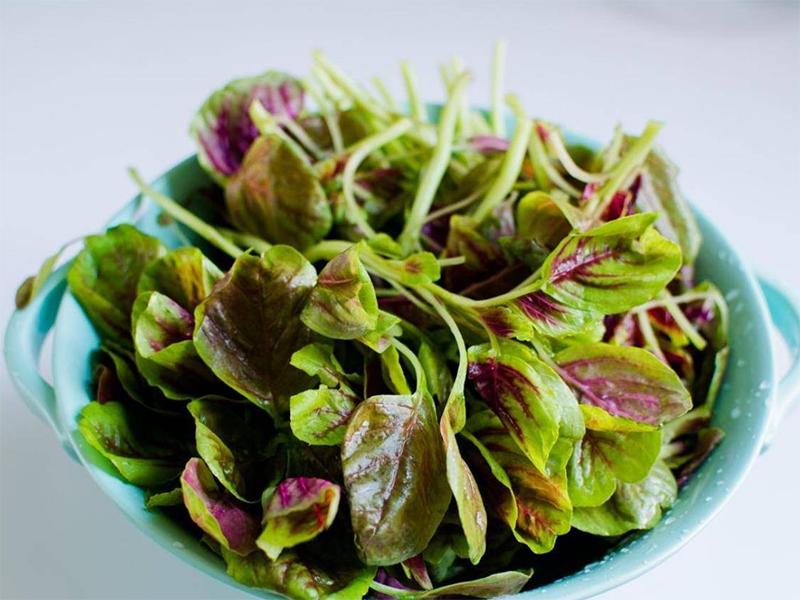 补钙正确方法和注意事项,中小学生正确的补钙方法