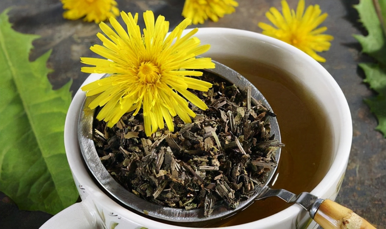 中药新发现？蒲公英能杀死96%癌细胞？真相到底是如何？