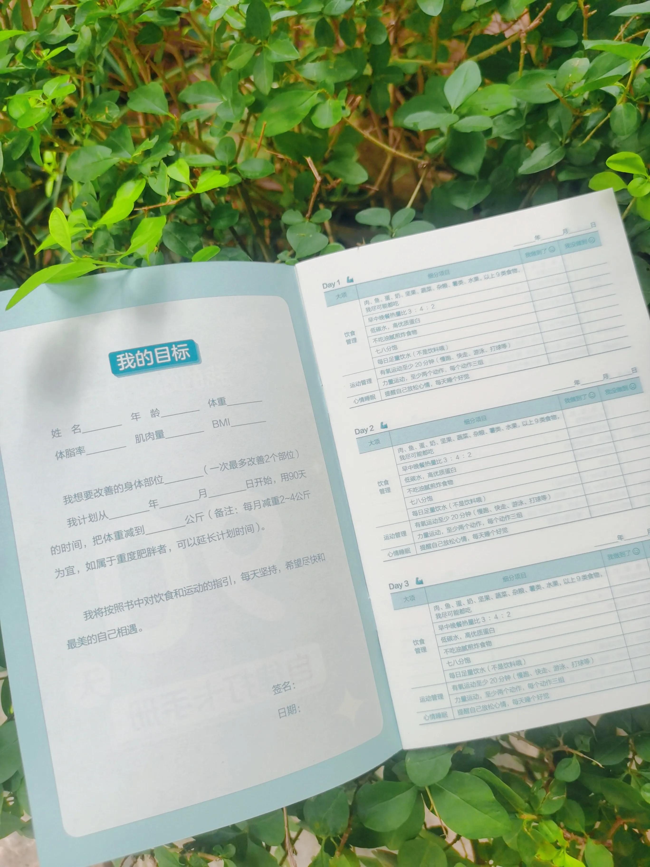 揭秘不节食不运动的减肥绝招,容易坚持且高效的减肥经验心得