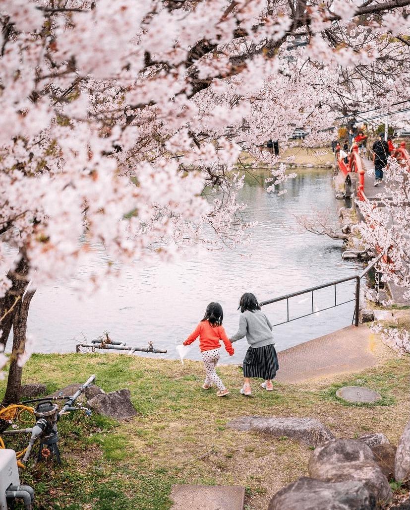 爸爸拍坏人女儿却被偷走完整版,日本老爸偷拍儿子的丑照