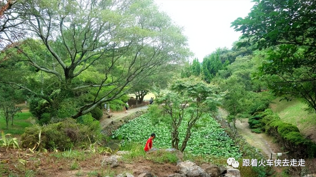 海上度假村在线观看,海上度假村完整视频