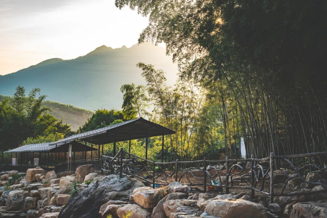 閲戠涔嬬害,閲戠鍗佹湀鍥藉簡涓鍋囨湡浣忓鏀荤暐