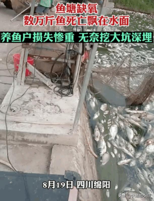 重庆高温干旱视频,高温干旱四川