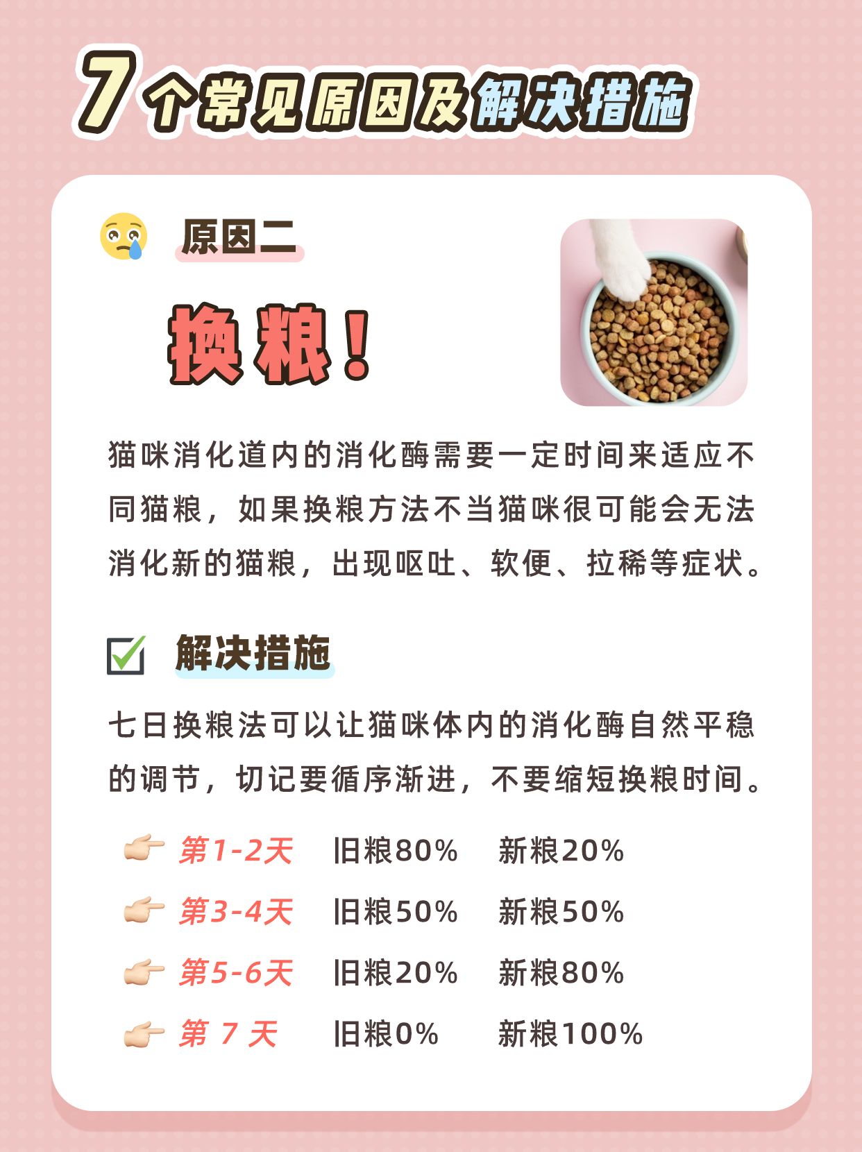 幼猫拉稀的解决办法是什么,幼猫拉稀一般什么原因