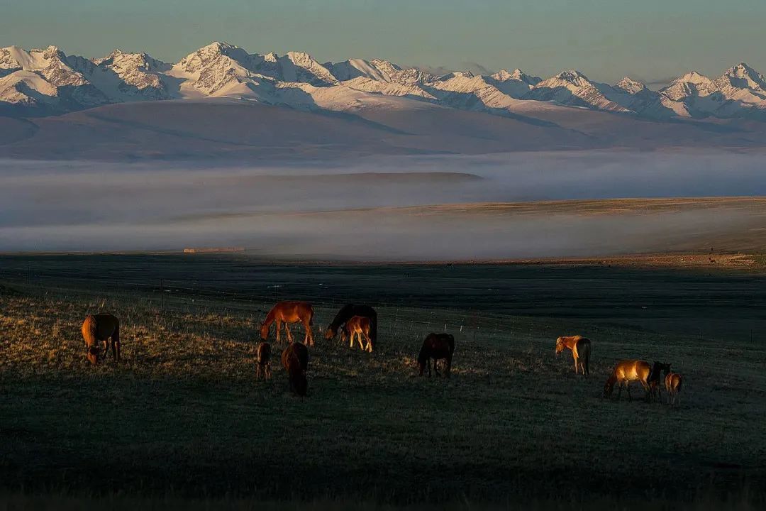 阿坝州十三个县哪个县最大,阿坝州十三个县城全景