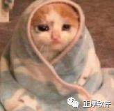 新鲜事新学期,新学期新鲜事一年级