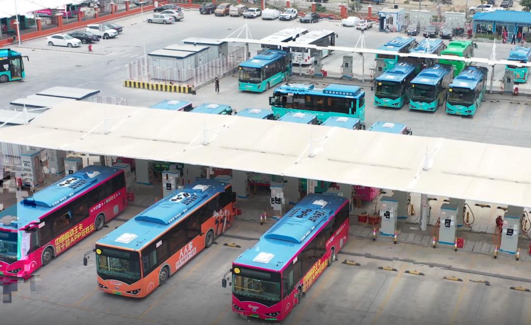 谁能握住“方向盘”？三问深圳西部公汽！