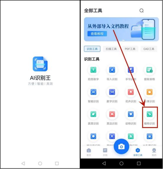 花草识别扫一扫软件下载,扫描识别花草树木app免费