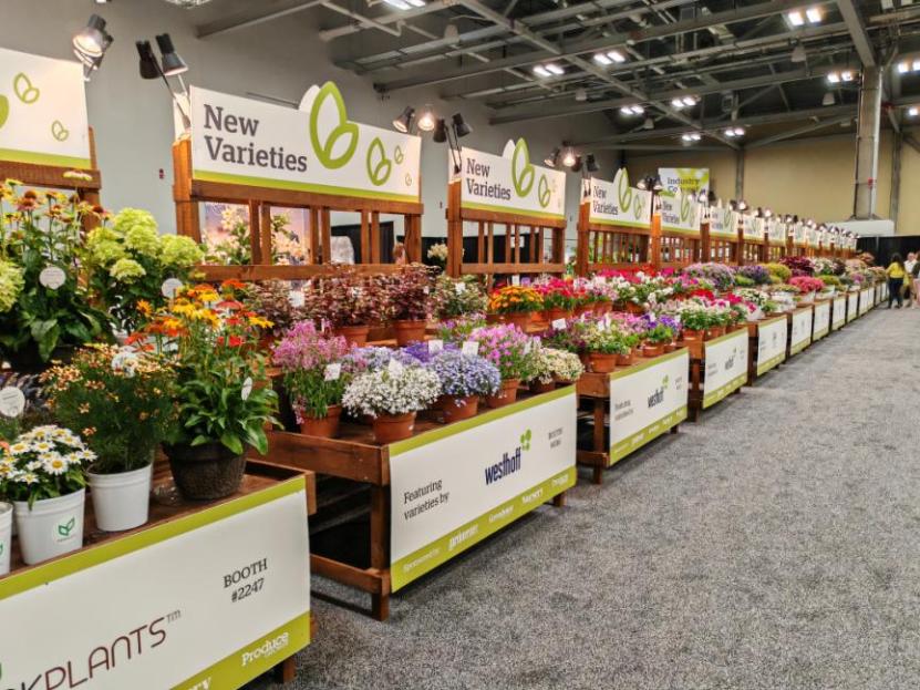 美国最大的农业产品展会,美国最顶级盆景展