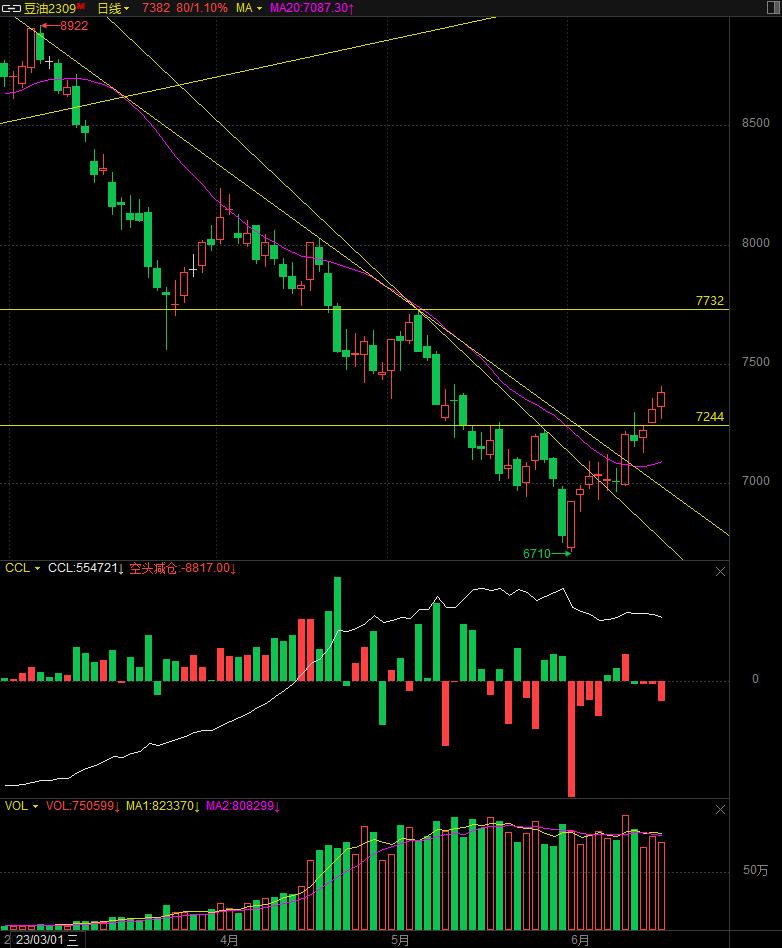 20230615期货交易分析日记