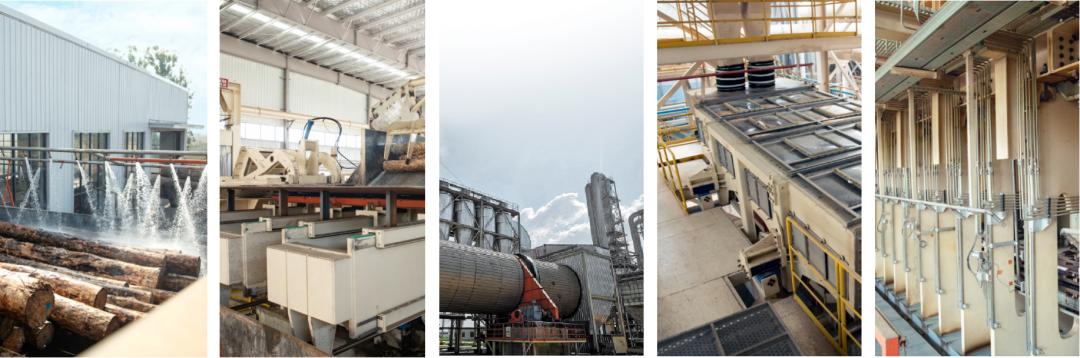 坚守“科技风尚健康”,千年舟如何“为人民造一张好板”?