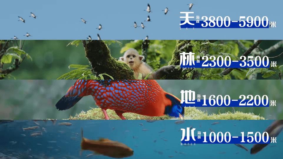 公益营销新模式,好的公益营销怎么做