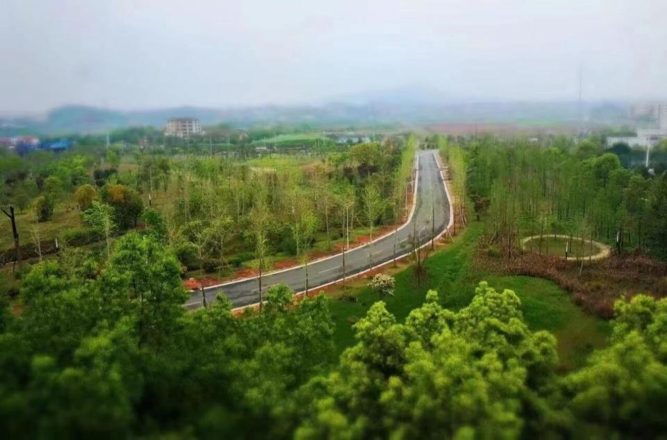 南华大学毕业就业情况怎么样,读南华大学就业率