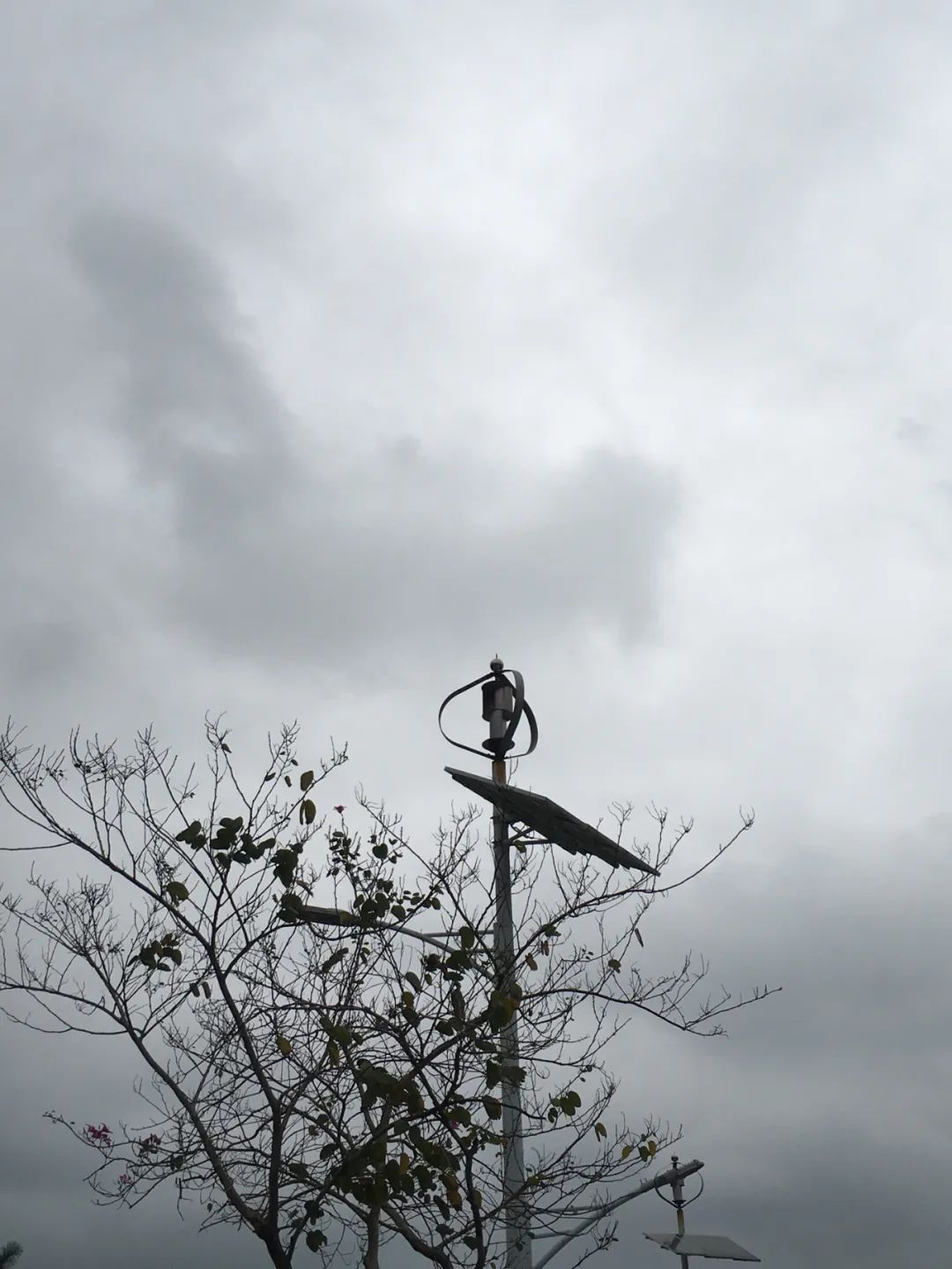 《旭光骑行深圳》第19站——大鹏新区大鹏街道