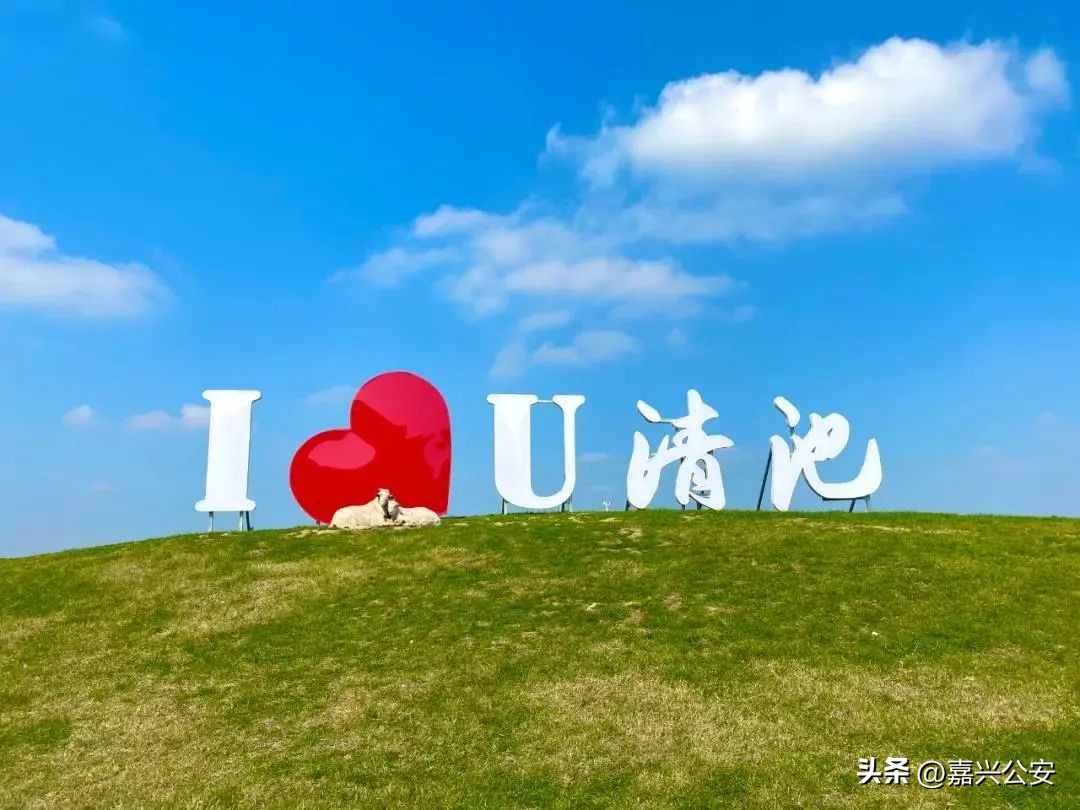 嘉兴人能领的补贴,嘉兴市民发放2亿券