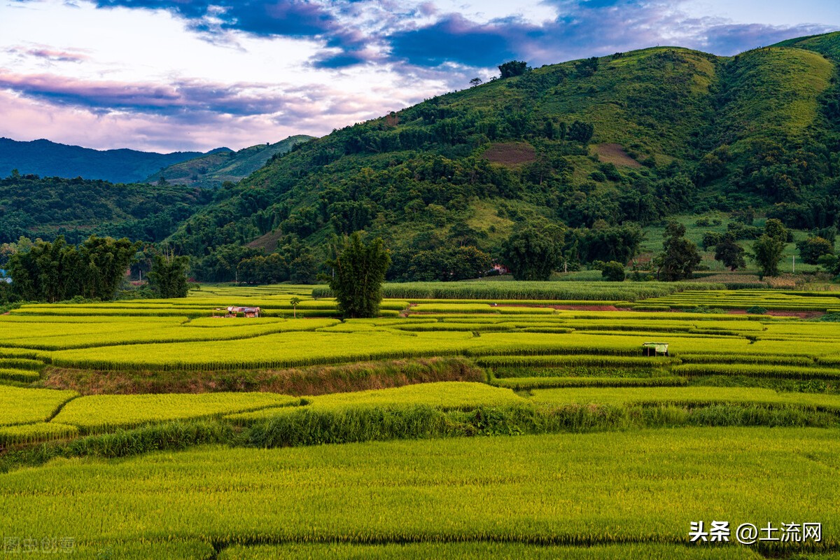 2022年占用基本农田所有补贴价格,高标准农田补贴多少钱一亩