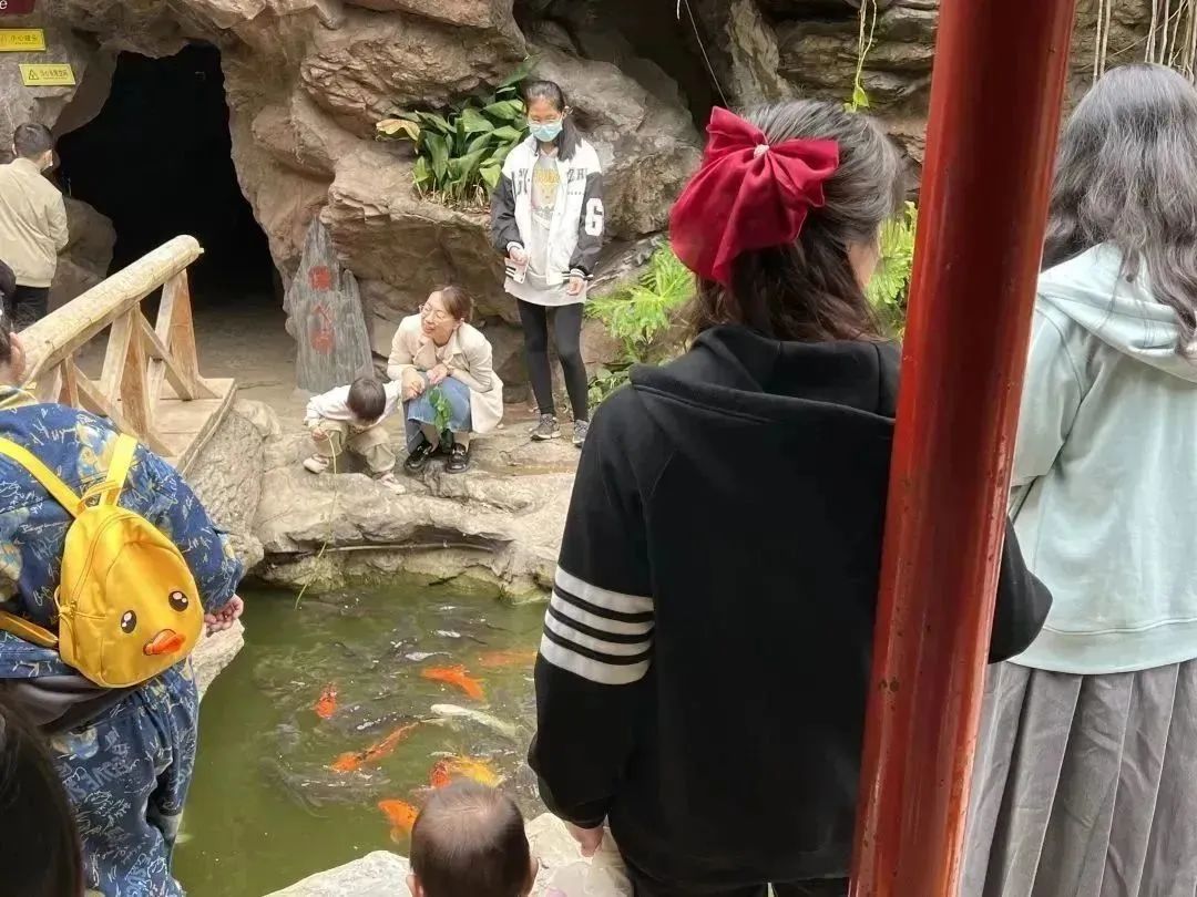 天津房车公园露营基地,一张天幕露营