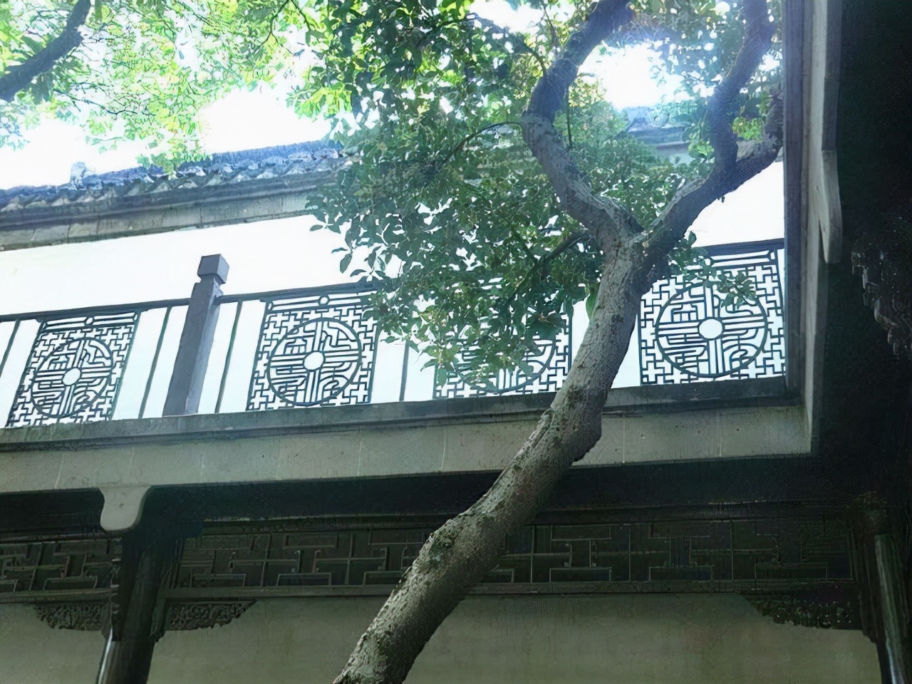 上错花轿嫁对郎玉湖陪老太君作诗,上错花轿嫁对郎古代版