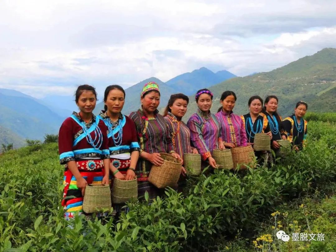 西藏林芝八一镇志愿者报名,西藏林芝怎么报名志愿者