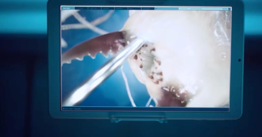 活久见2022,活久见原创原声