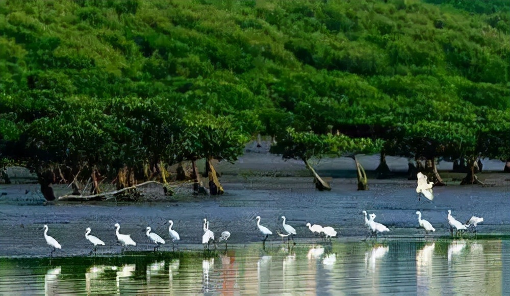 中国最美冷门旅游海岸,中国最美小众海岸线