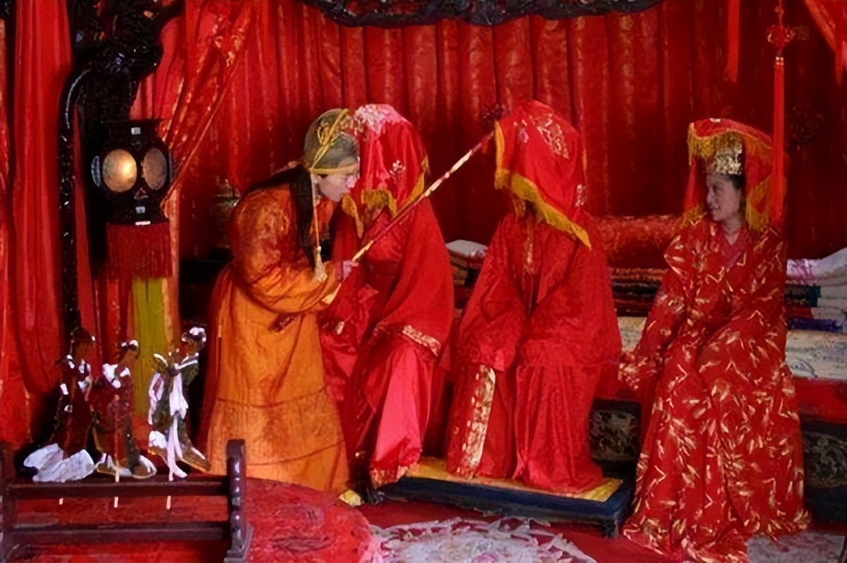 水井坊1号菌群,水井坊一号