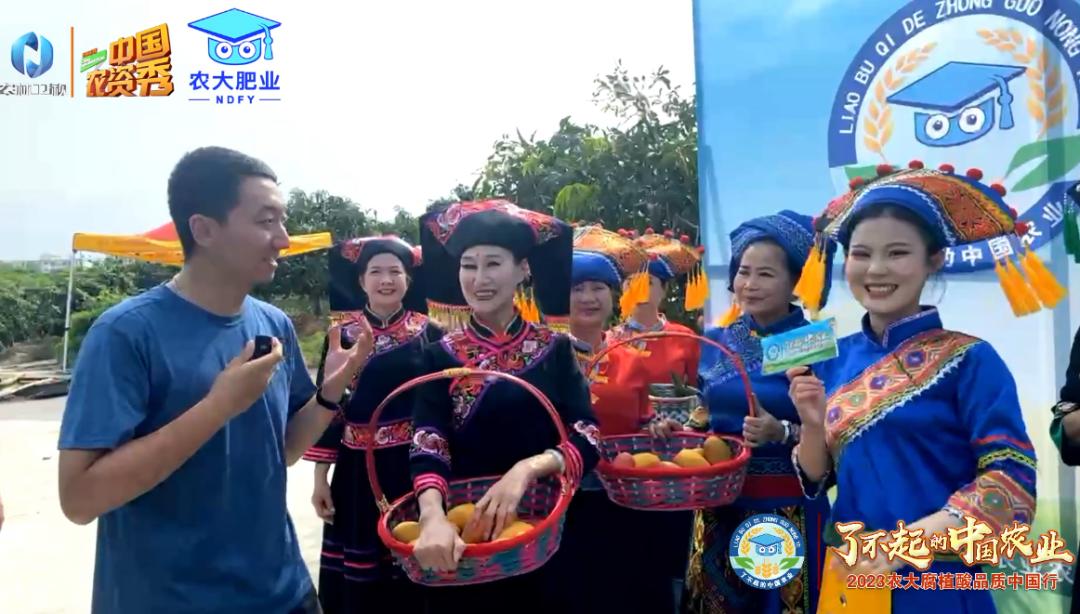 了不起的中国农业梅州金柚,了不起的中国农业