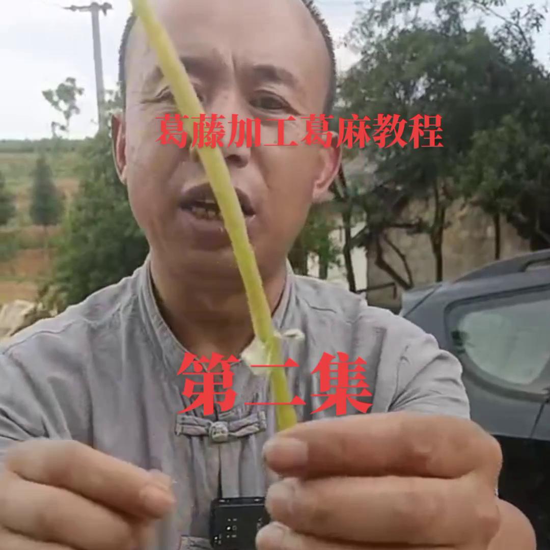 葛藤加工成零食,葛藤加工后做的东西视频
