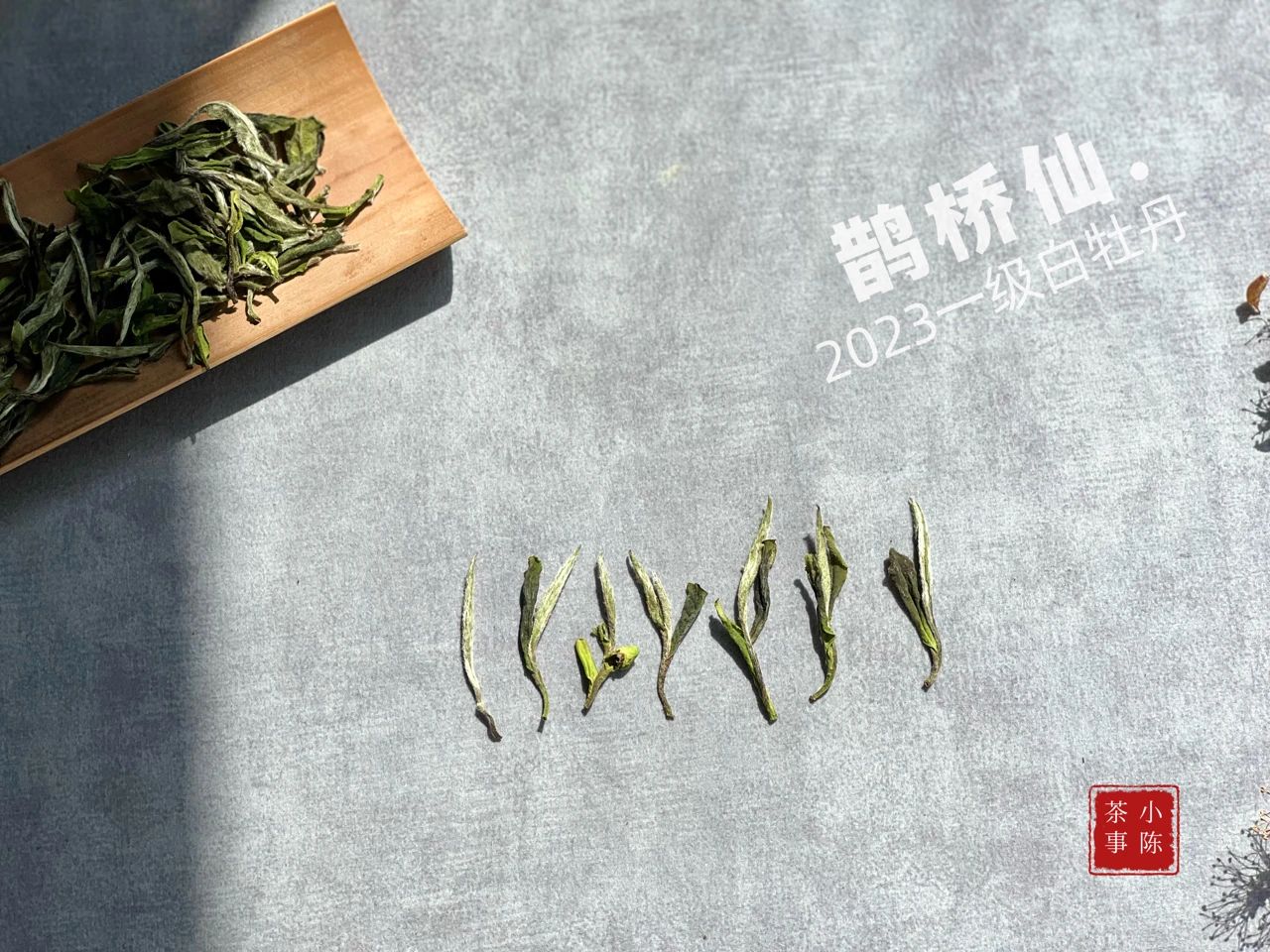 白茶白毫银针与白牡丹哪个好,白茶是买白毫银针还是寿眉牡丹王