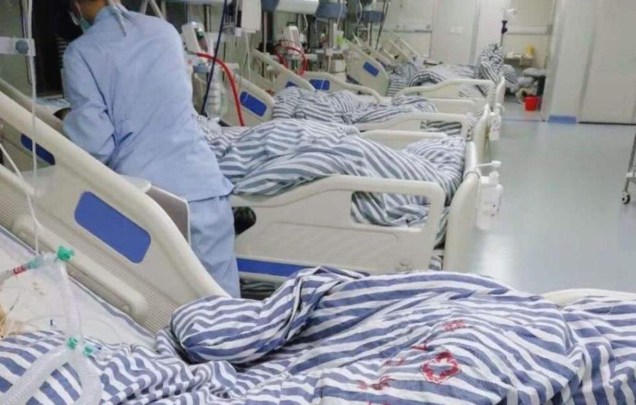 中原第一酒神张政现状,中国第一酒神张政介绍