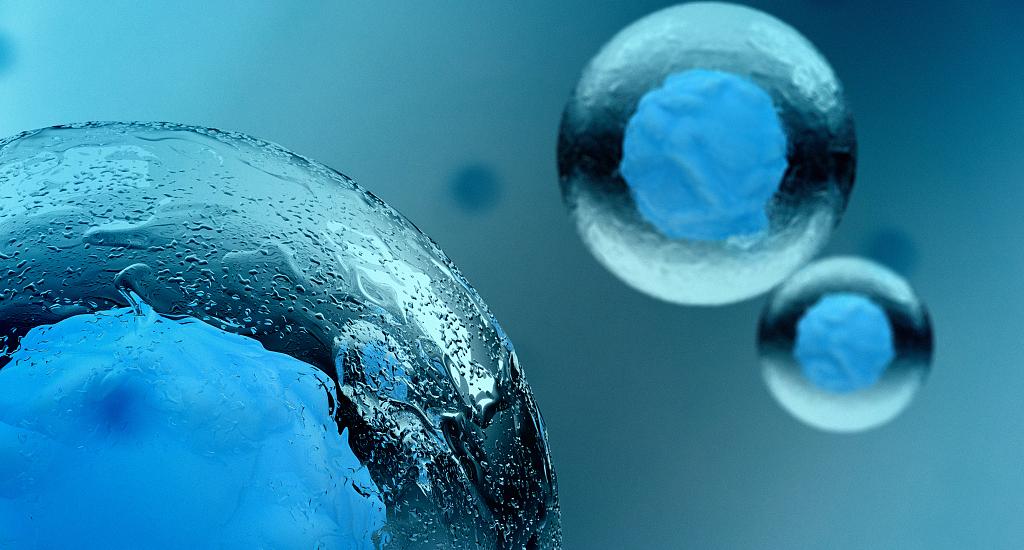 人体需要补充矿物质维生素吗,人体需要补充辅酶吗