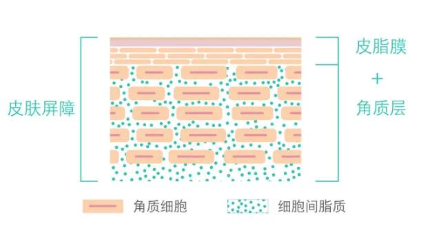 春季怎么护理皮肤,春季皮肤如何保养科普