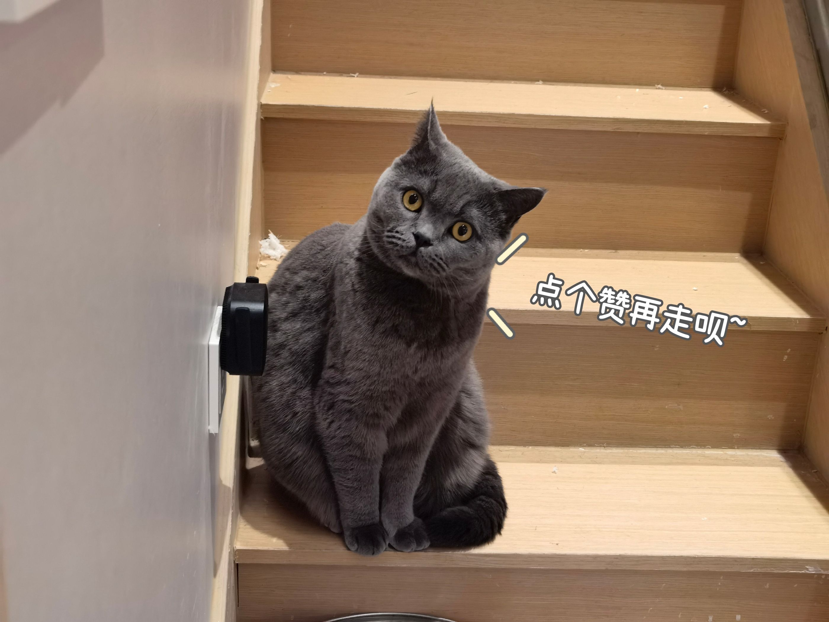 佳明 smart 5 (佳明的smart5)