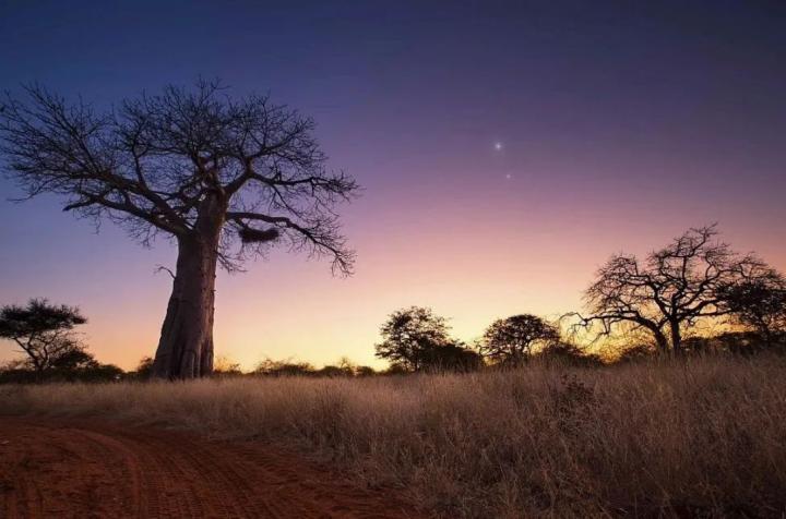 与非洲人相处的七*法大**则——十年驻非老鸟总结