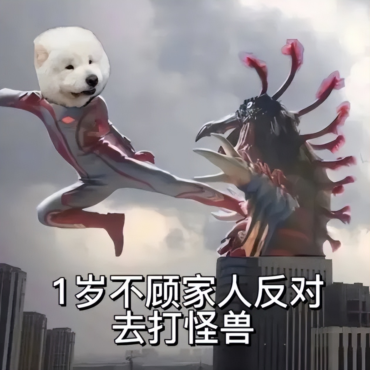 家属出狱，接风洗尘？哈哈网友分享的请假理由能有多炸裂！