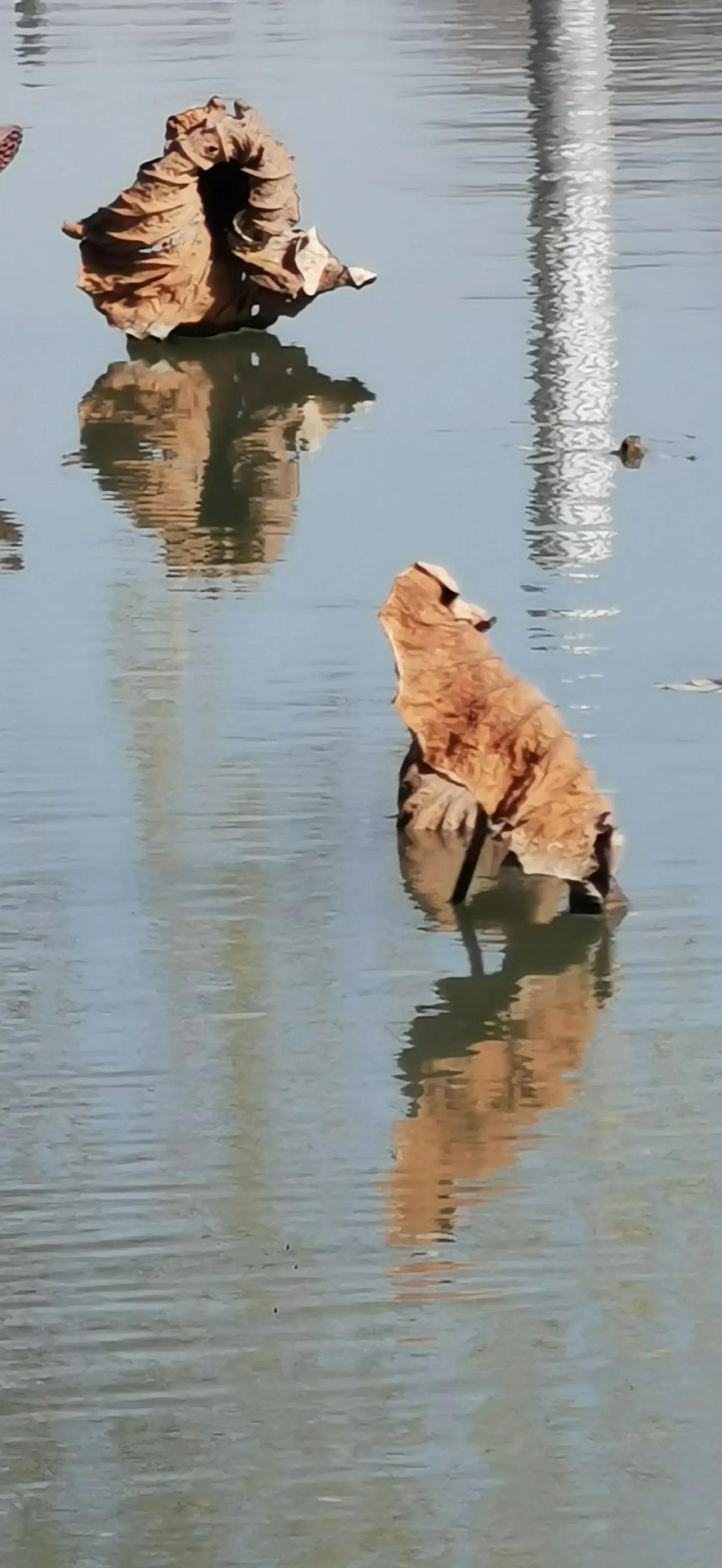 交大二附院周末可以办出院手续吗,交大二附院大明宫院区办出院