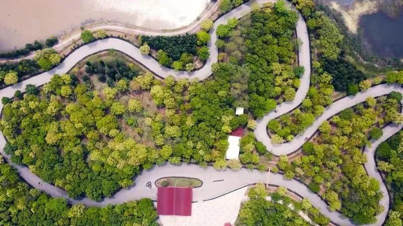 上海露营卡丁车哪里好玩,魔都自驾露营怎么玩