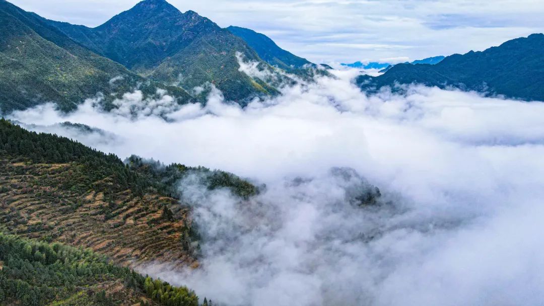 他只用了一星期，建成一座「可移动的房子」，上山下海睡遍世界