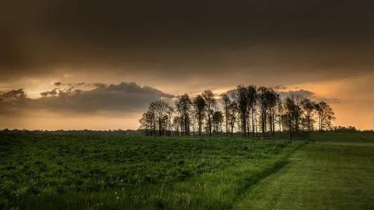 回归是为了更好的出发,回归生活为未来努力