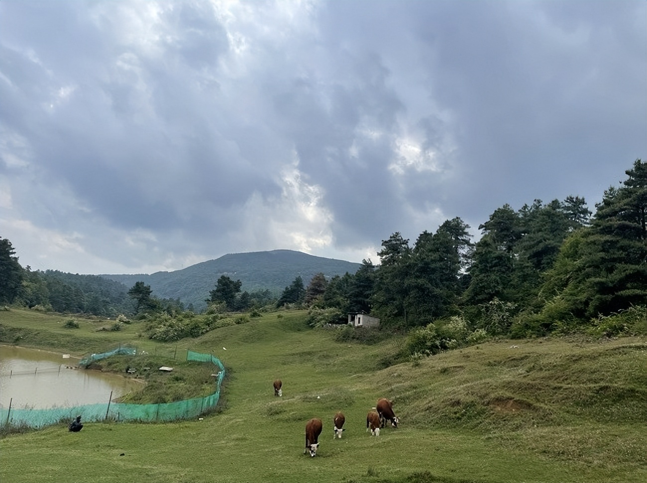 昆明荣获2022年全国第一，重庆、武汉等想要避暑的朋友快看过来