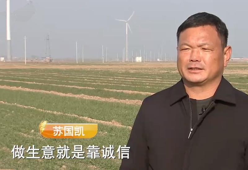 致富经苏国凯养牛,苏国凯养牛