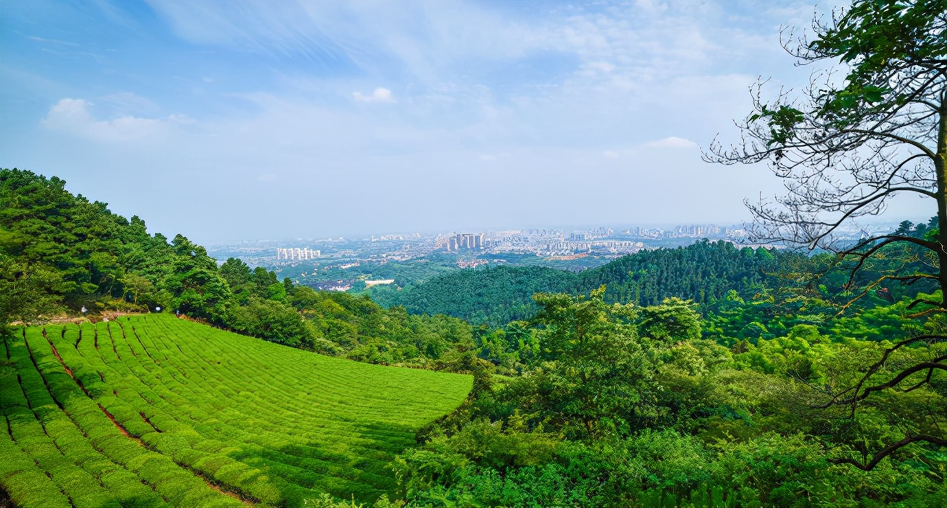 我为什么推荐你一定考北邮,我为什么建议你来北上广深奋斗