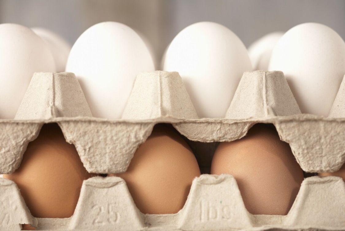 白壳鸡蛋和红壳鸡蛋哪个贵点,白壳鸡蛋红壳鸡蛋哪种营养价值高