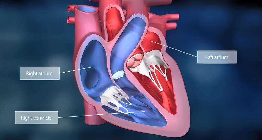 心梗心律失常心脏乱跳怎么办,心脏乱跳吃什么药效果好