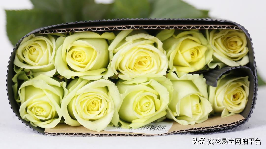 鲜花分级标准依据有哪些,鲜花种类等级排名