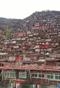 跟女网友奔现后感觉被骗了,被女网友骗了钱怎么办