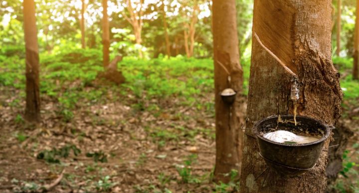 乳胶枕十大品牌测评,2023乳胶枕测评排行榜