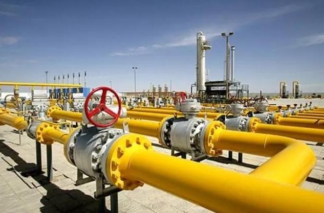 上任伊始三把火,上任三把火打一生肖