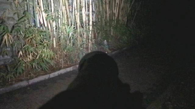 男人要有光，掠黑夺暗，无惧山海