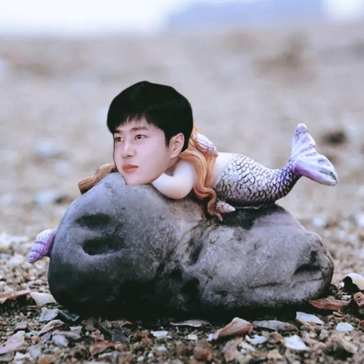 王一博因“人鱼”再登热搜，只是这表情包也是绝了